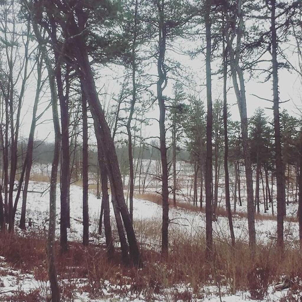 Photo: View off Horseshoe Dune Photo: View off Horseshoe Dune