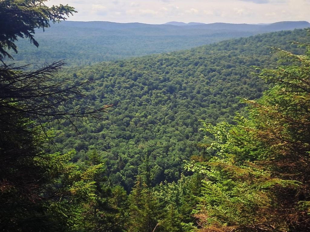 Photo: View off the Ledge of Mitchells Pond Mountain Photo: View off the Ledge of Mitchells Pond Mountain