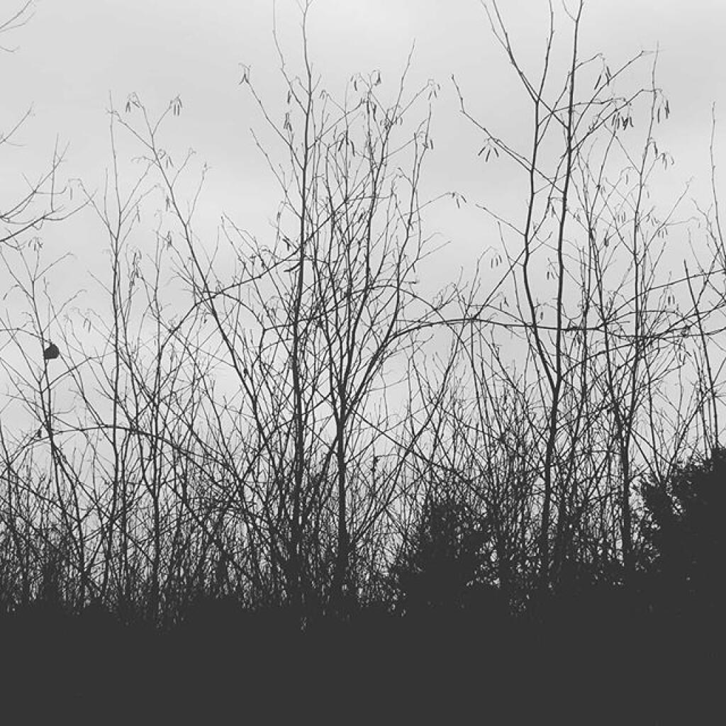 Photo: Desaturated or not