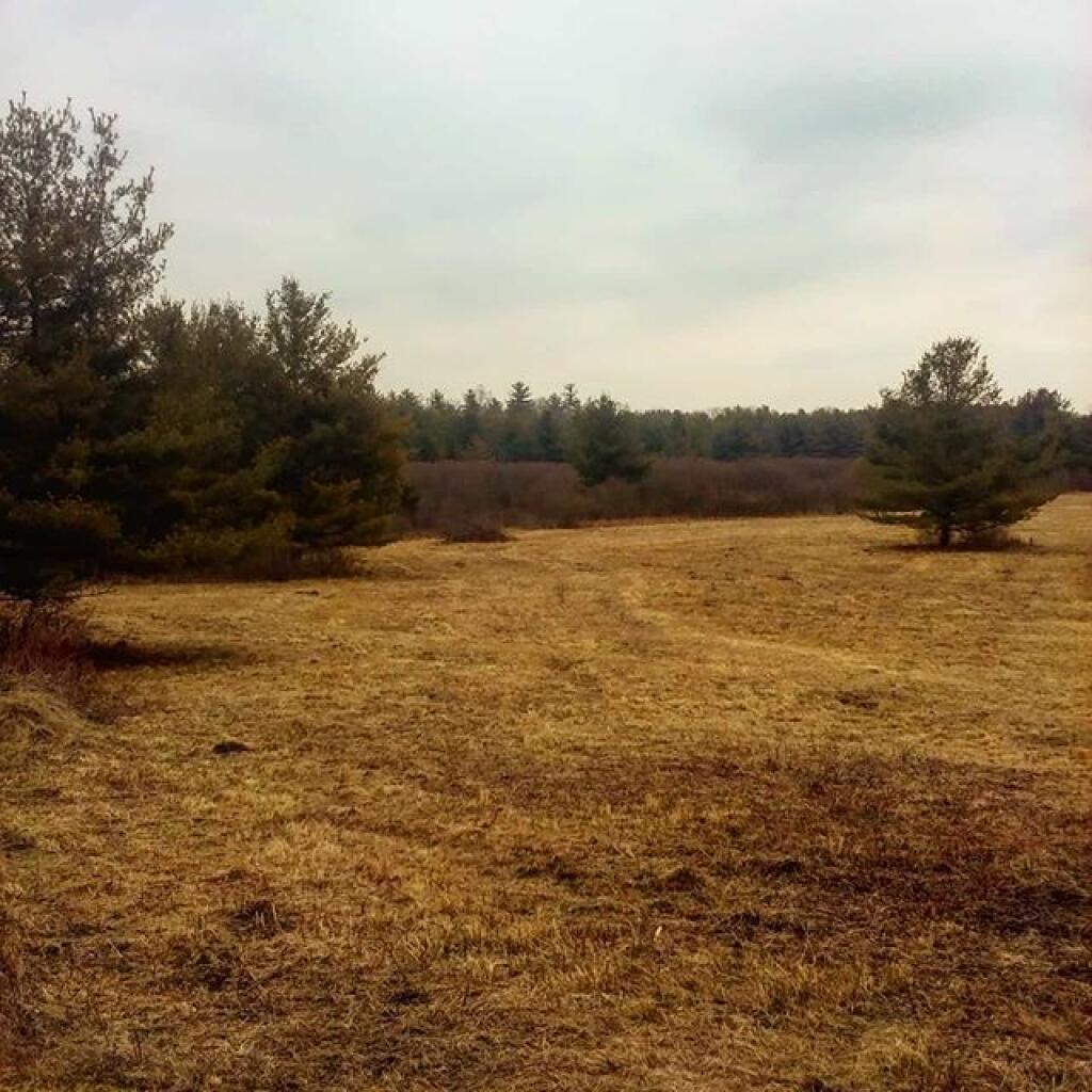 Photo: Field