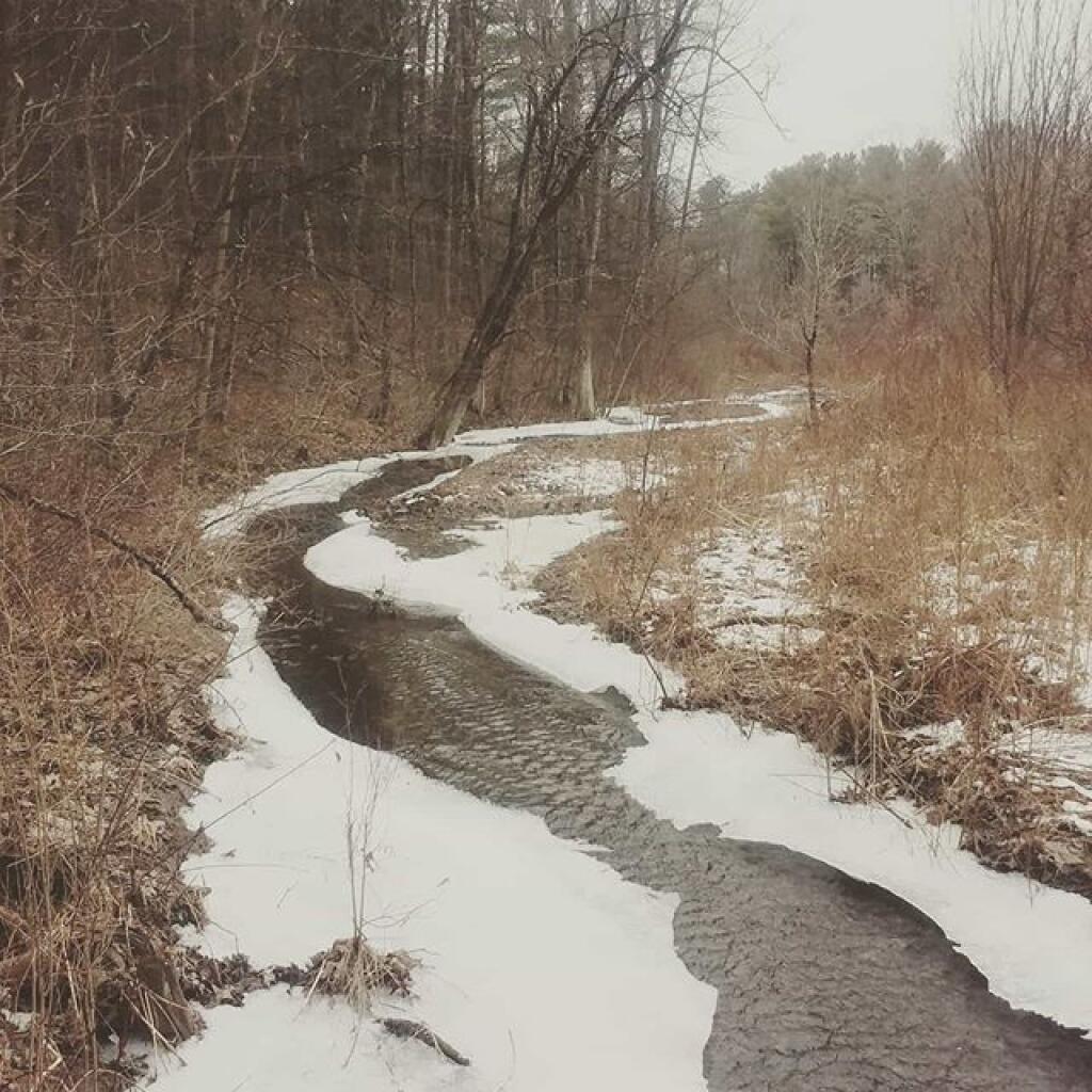 Photo: Creek Photo: Creek