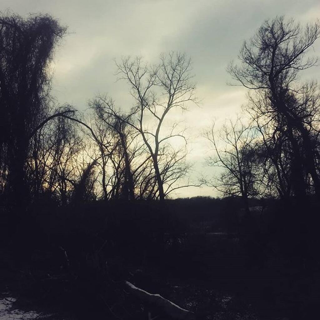 Photo: Scraggly