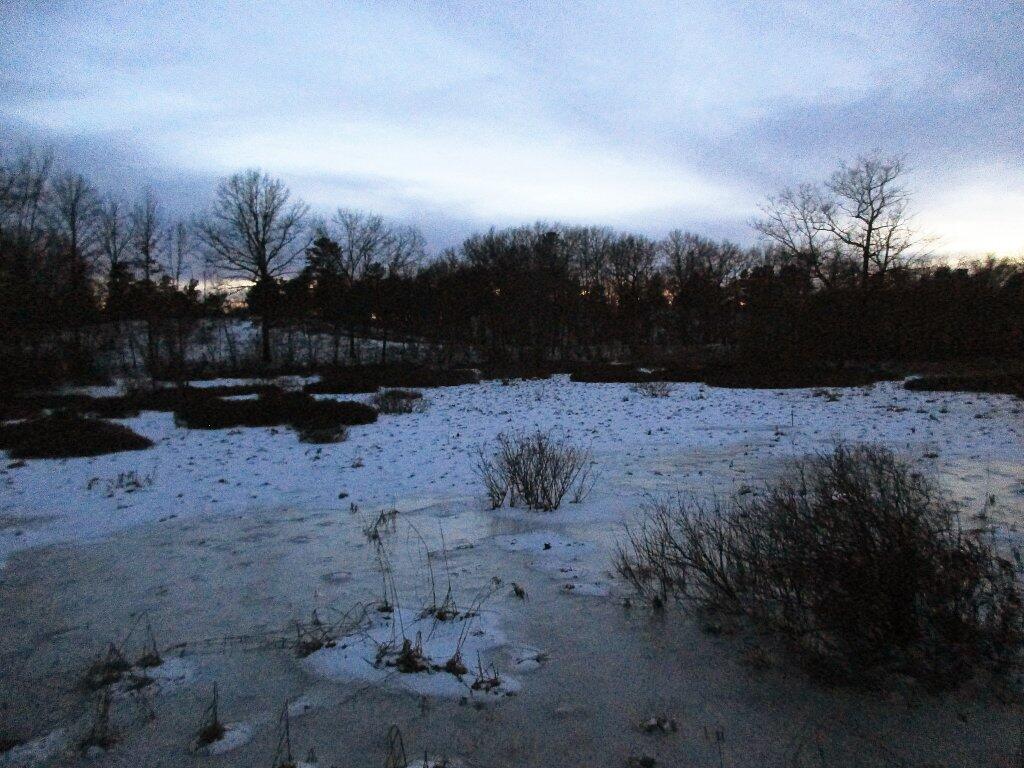 Photo: After Dark At The Vernal Pool