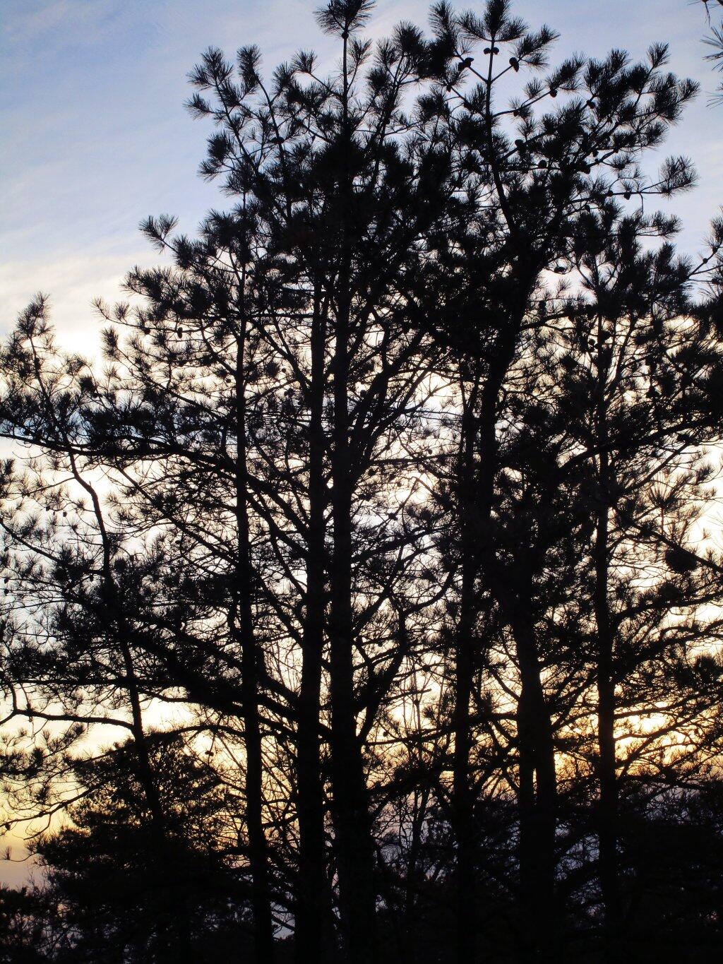 Photo: Dusk Photo: Dusk