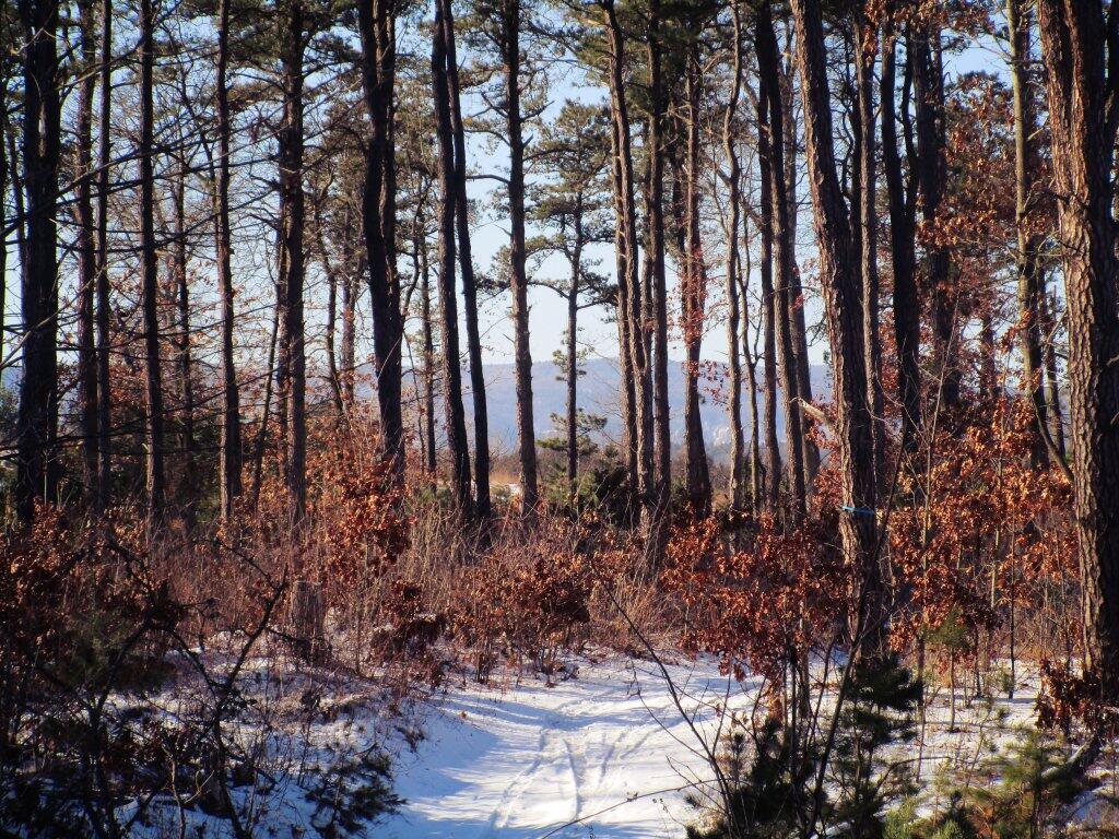 Photo: Towards The Mountains
