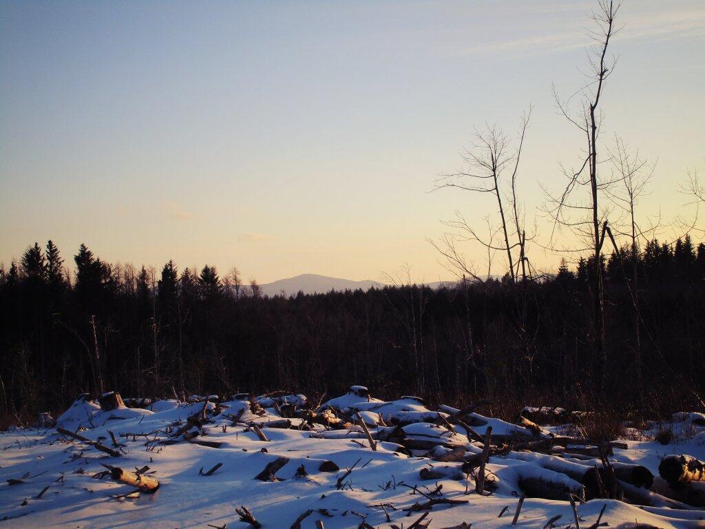 Photo: Windham High Peak Photo: Windham High Peak