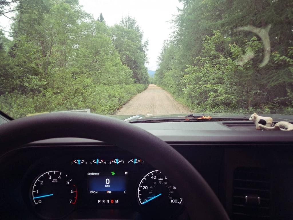 Photo: Been too Long Since I Last Was Here Photo: Been too Long Since I Last Was Here
