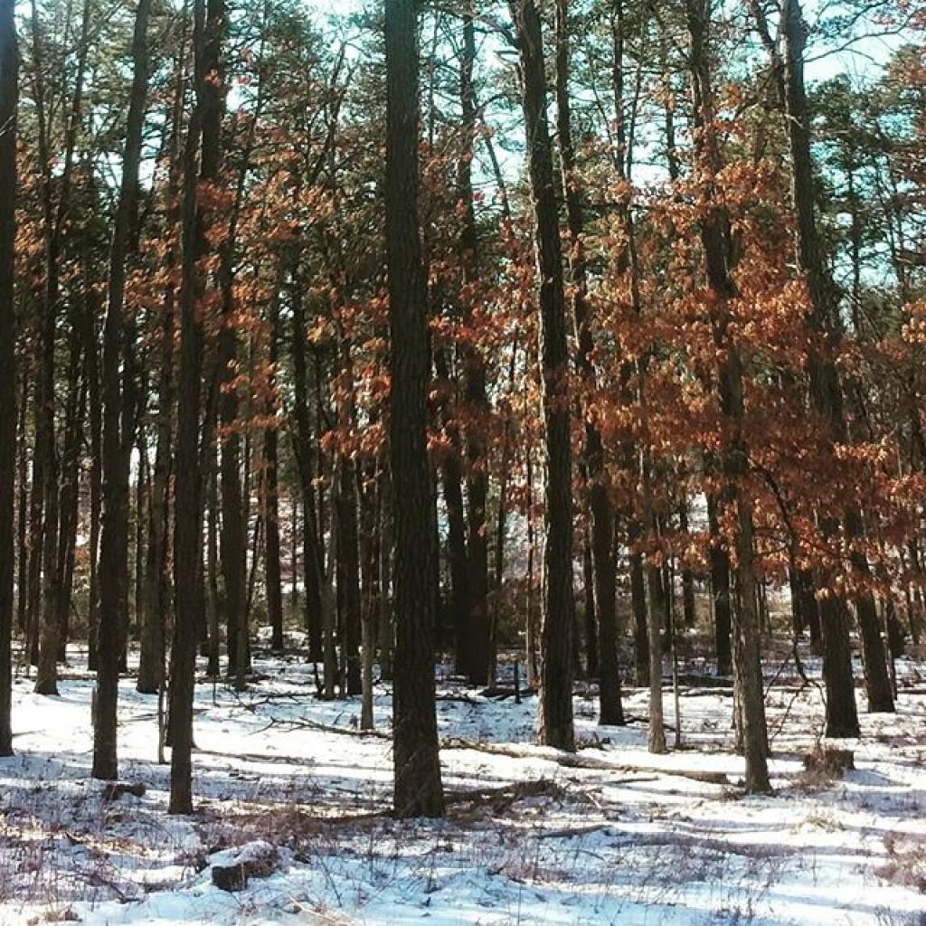 Photo: Winter