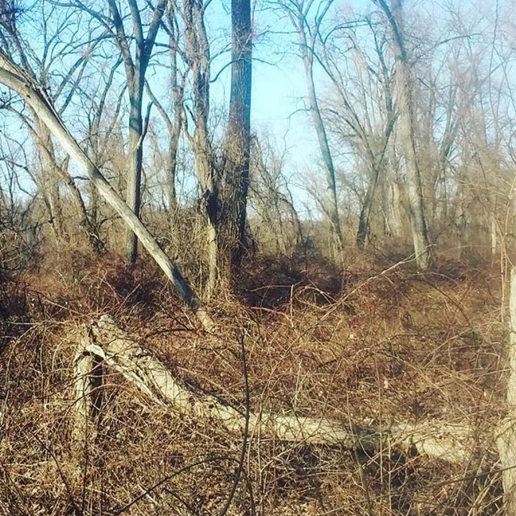 Photo: Great place to bird watch Photo: Great place to bird watch