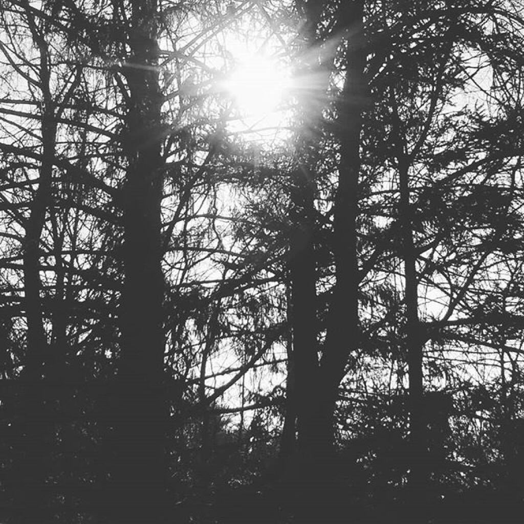 Photo: Sunshine