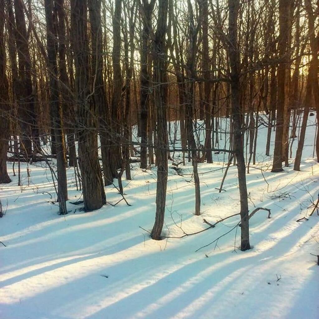 Photo: Five o'clock shadow Photo: Five o'clock shadow