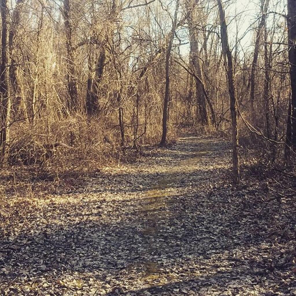 Photo: Trail Photo: Trail