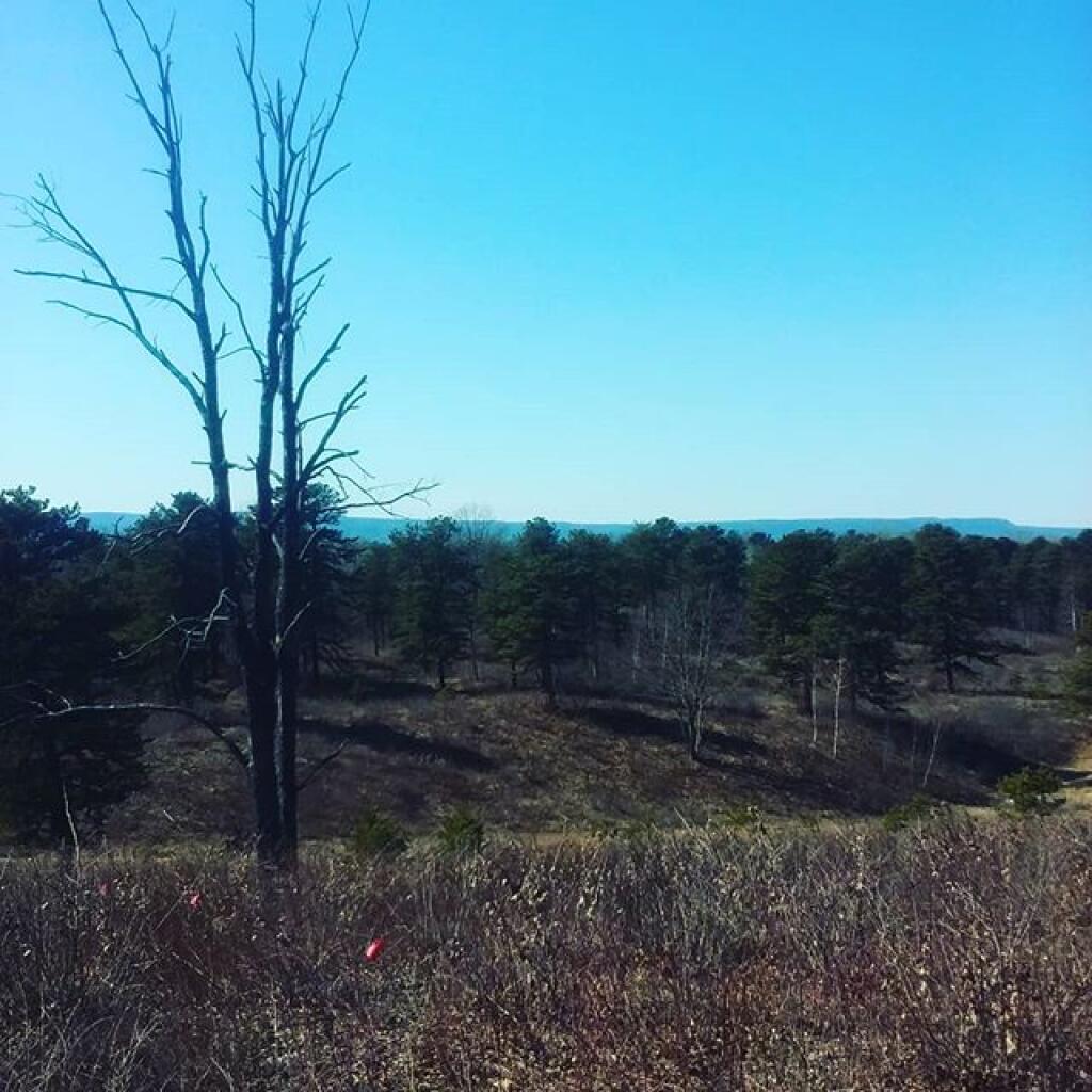 Photo: Off blueberry hill Photo: Off blueberry hill