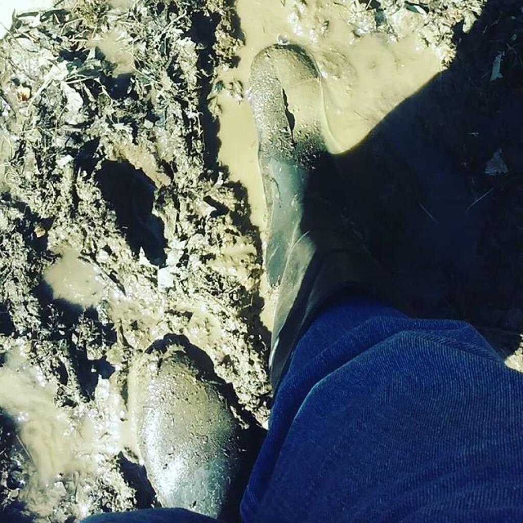 Photo: Mud season has come early