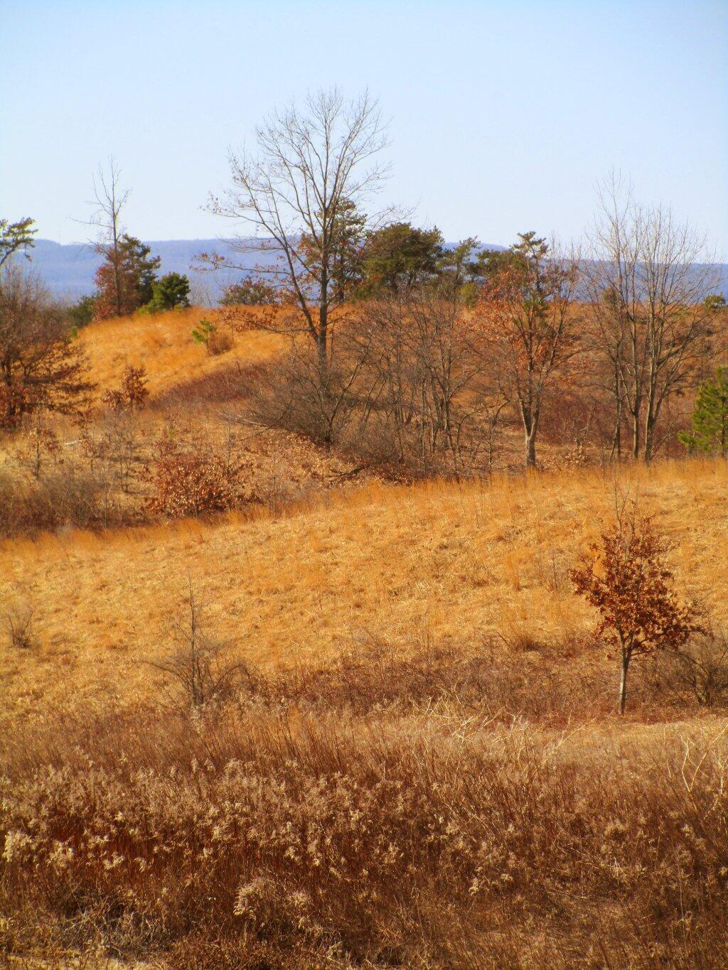 Photo: Dunes