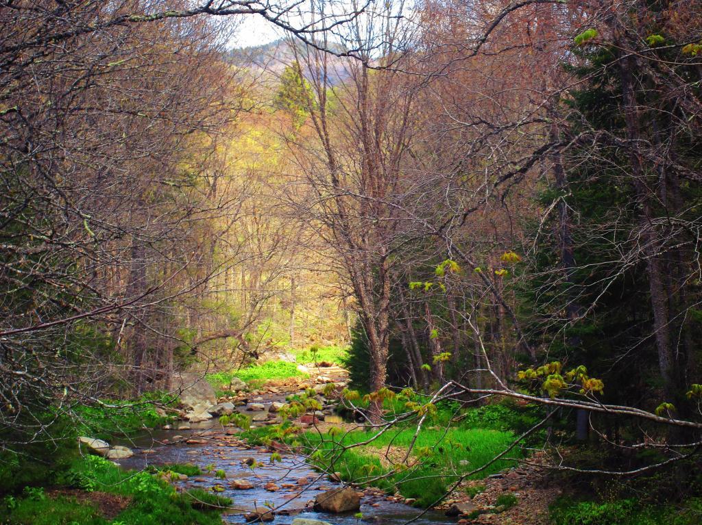 Photo: Robb Creek Photo: Robb Creek