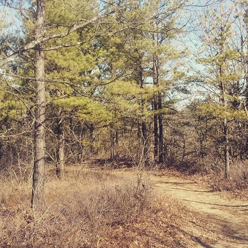 Photo: Overlook Dune Trail