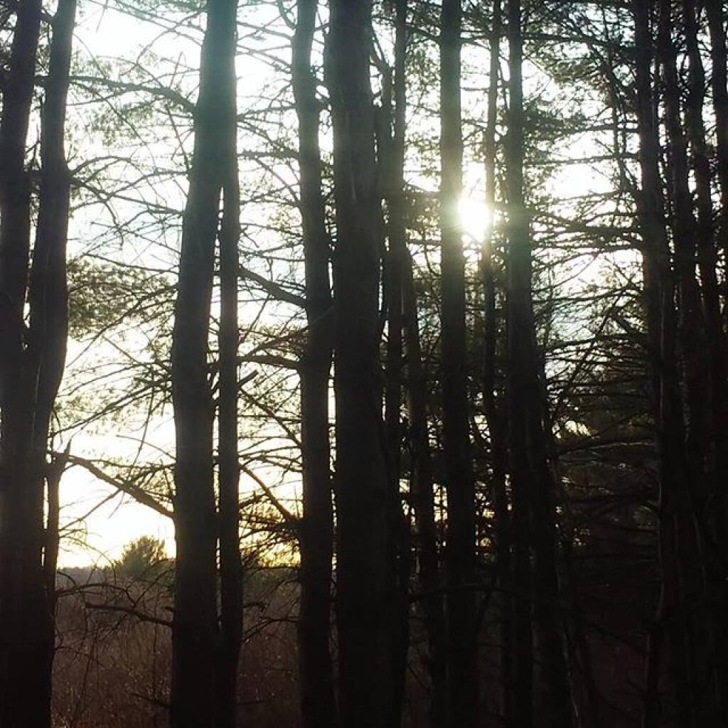 Photo: Sunshine