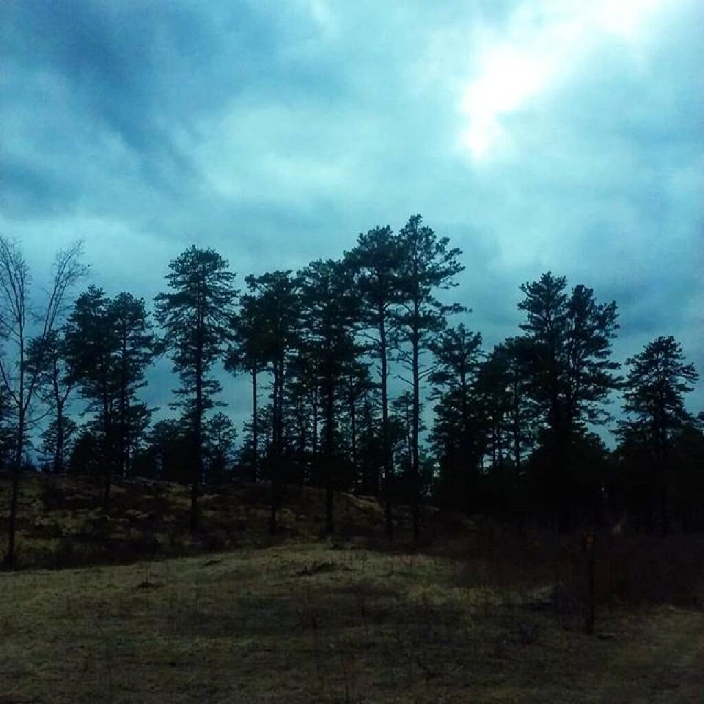 Photo: Night hike