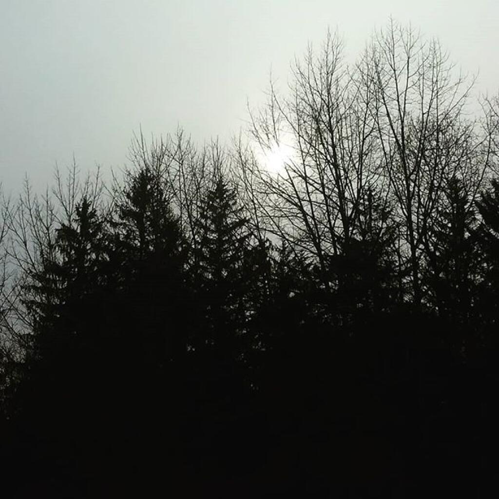 Photo: Gotten gray out
