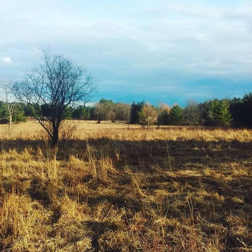 Photo: Afternoon