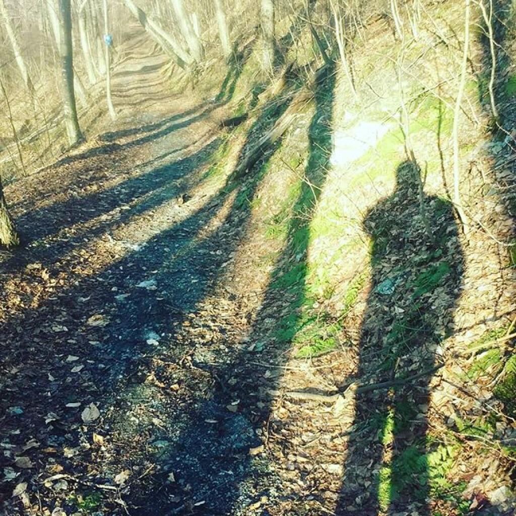 Photo: Shadow