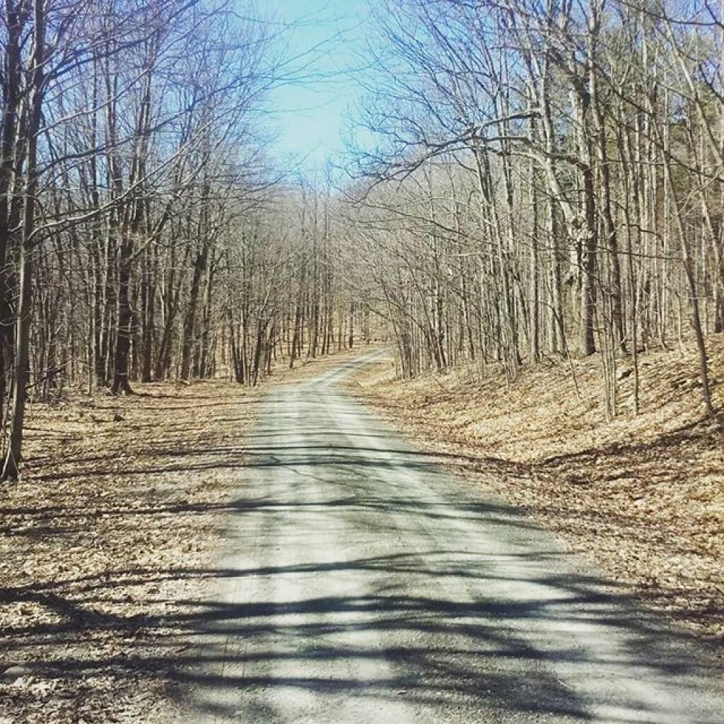Photo: Nice early spring day Photo: Nice early spring day