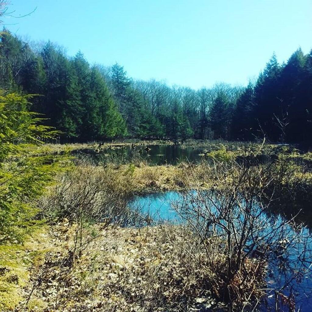 Photo: Ice is gone
