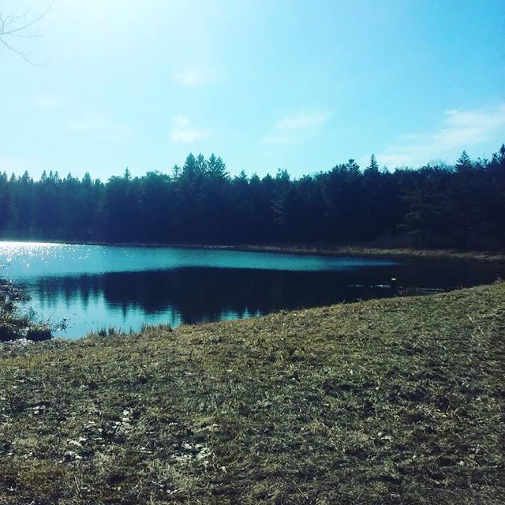 Photo: Listening to the spring peepers on Upper Beaver Pond Photo: Listening to the spring peepers on Upper Beaver Pond
