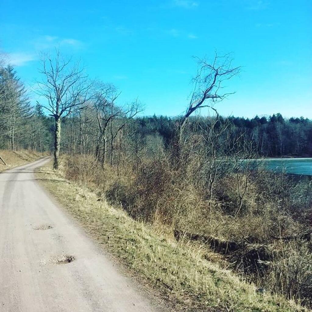Photo: Fawn Lake Photo: Fawn Lake