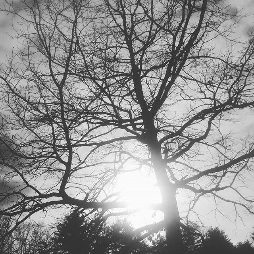 Photo: Sunshine Photo: Sunshine