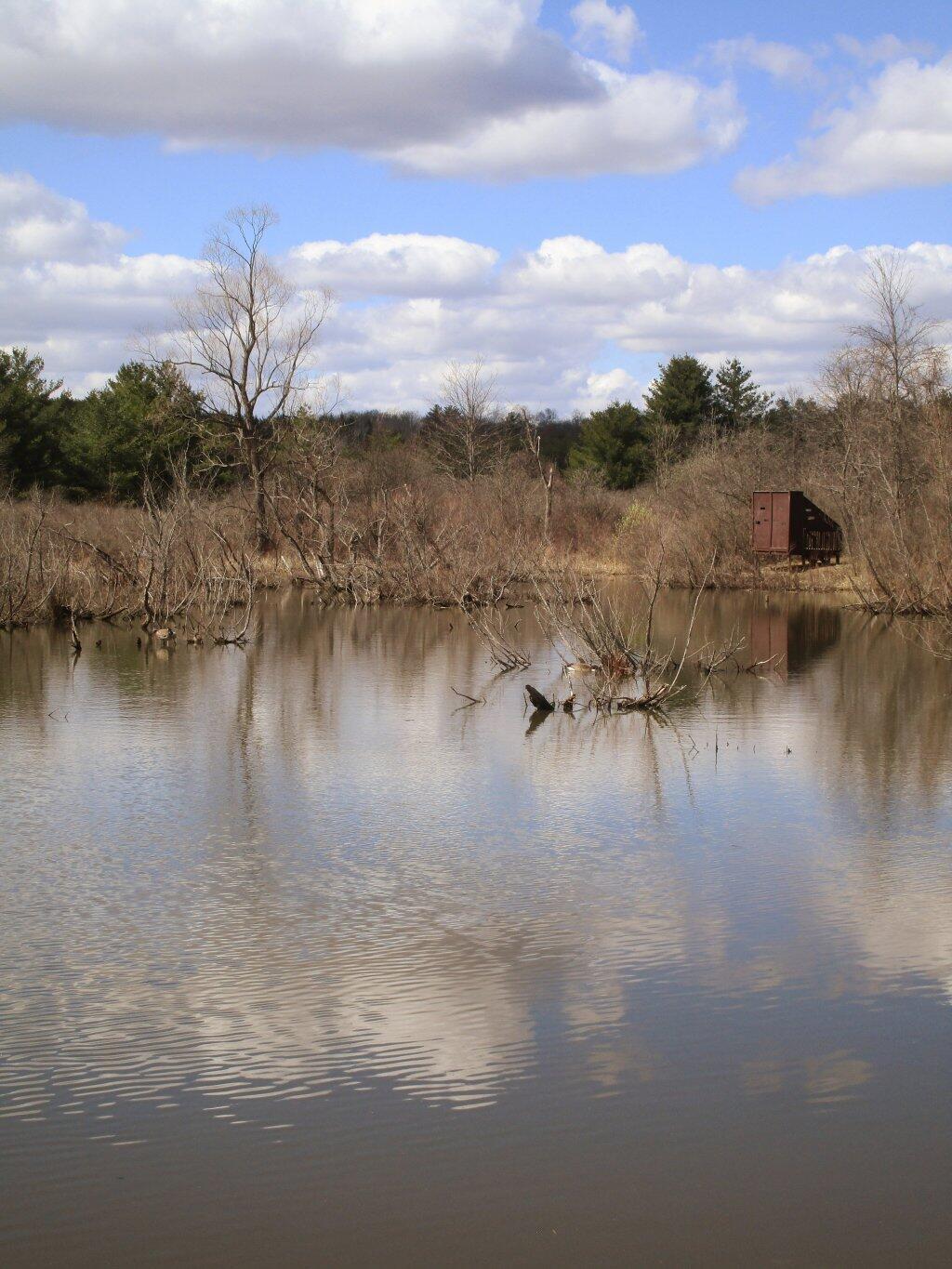 Photo: Nice Early Spring Day Photo: Nice Early Spring Day