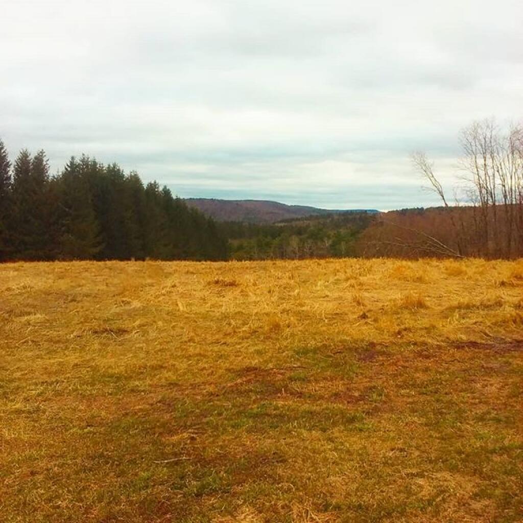 Photo: Early spring Photo: Early spring