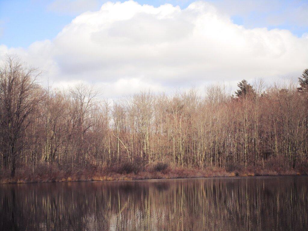 Photo: Smaller Pond Along Beaver Road