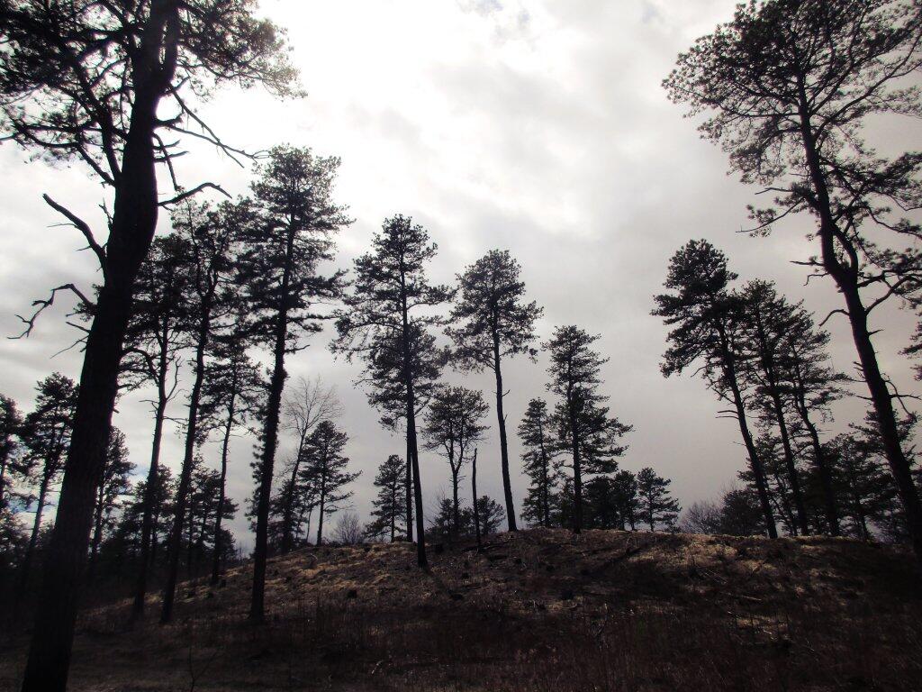 Photo: Cloudy Afternoon