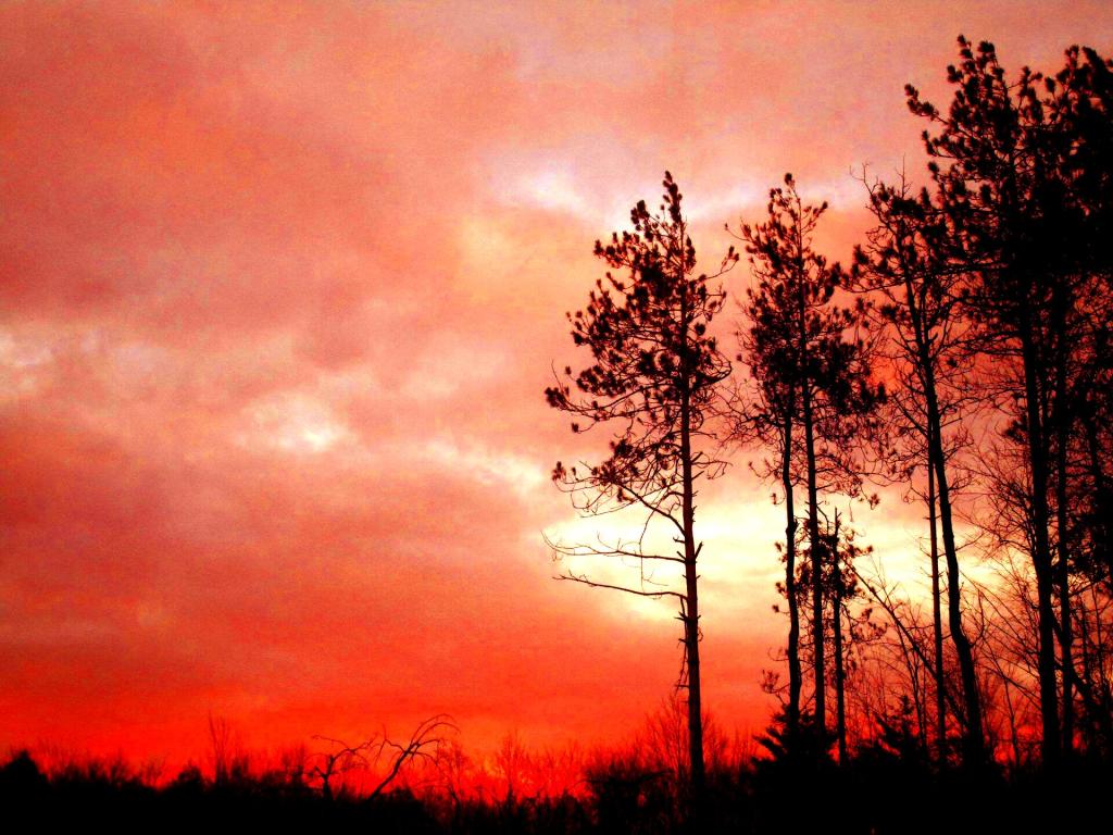 Photo: Pretty Sunset Photo: Pretty Sunset