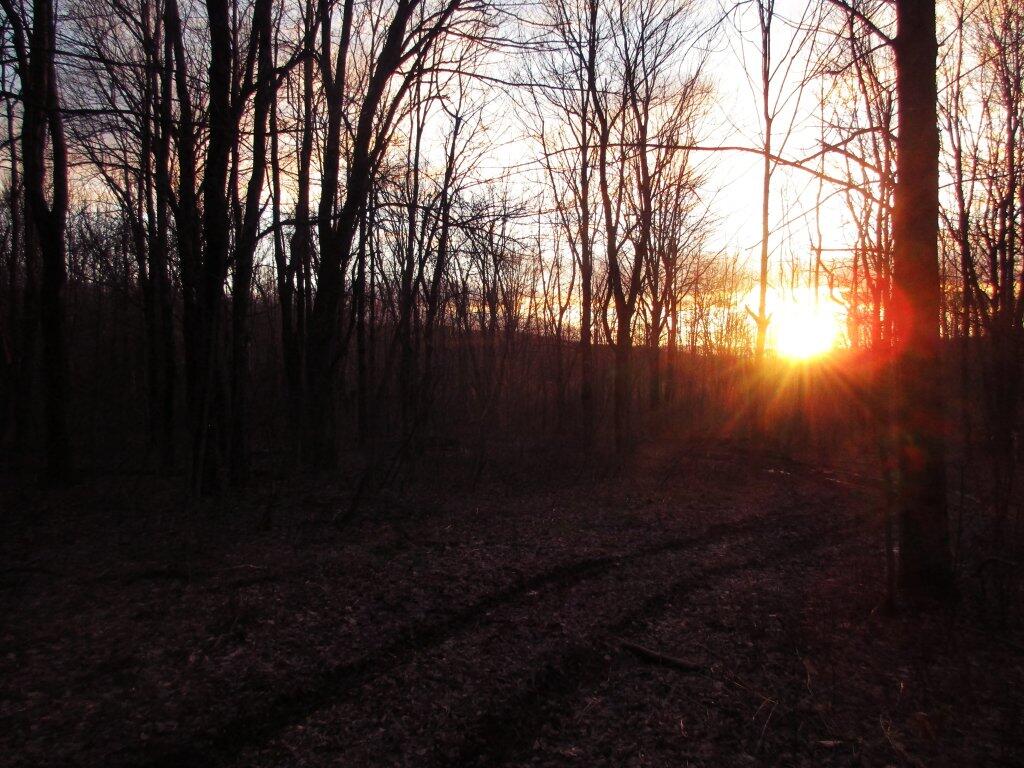 Photo: Sunset Photo: Sunset