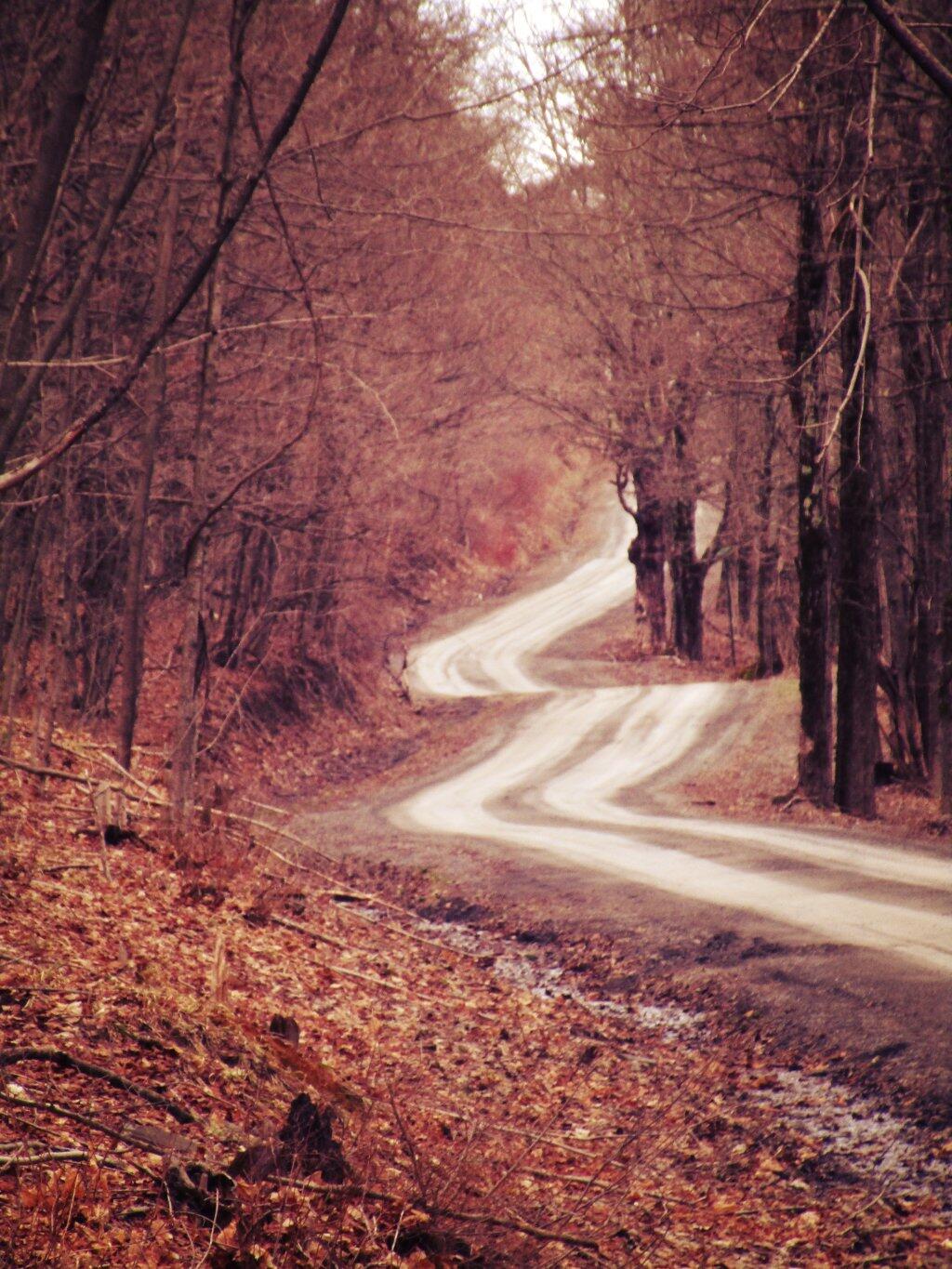 Photo: Twisty Road Down To The Hollow Photo: Twisty Road Down To The Hollow