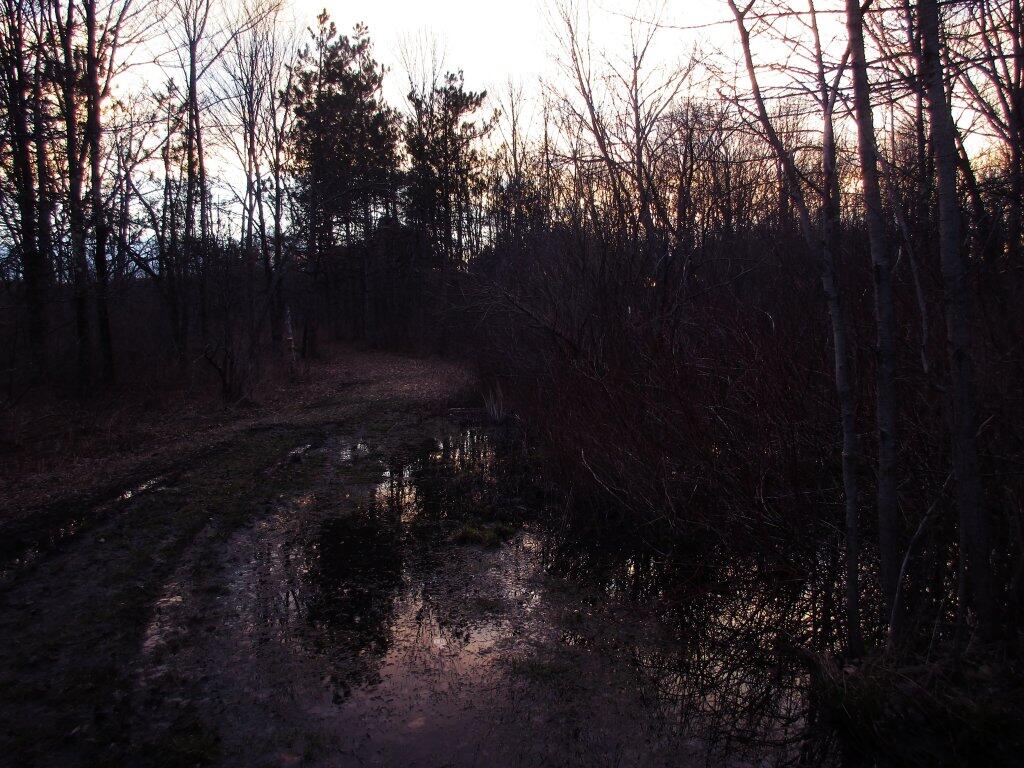 Photo: Vernal Pond Photo: Vernal Pond