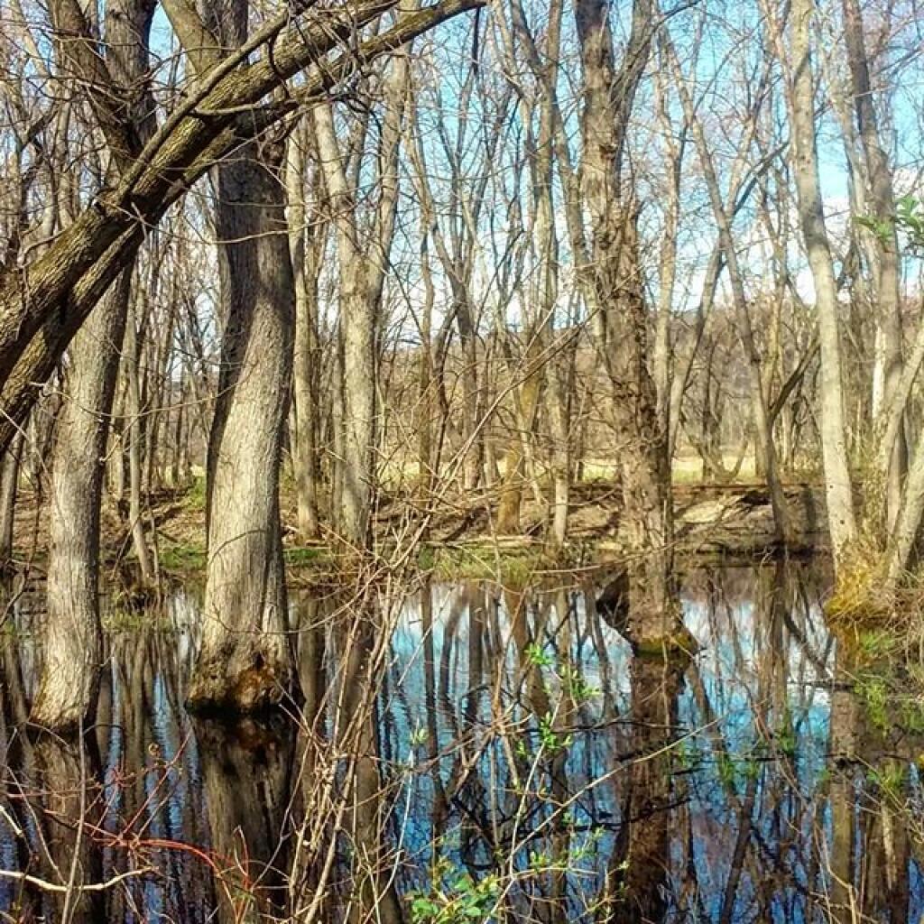 Photo: Great place for birds and wildlife