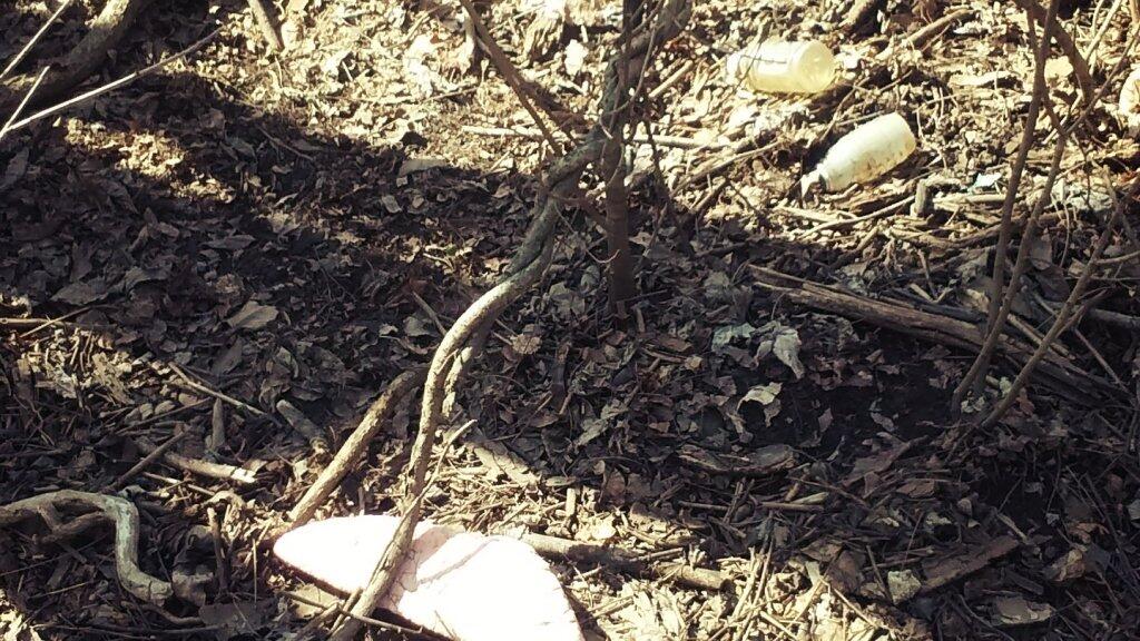 Photo: Litter Photo: Litter
