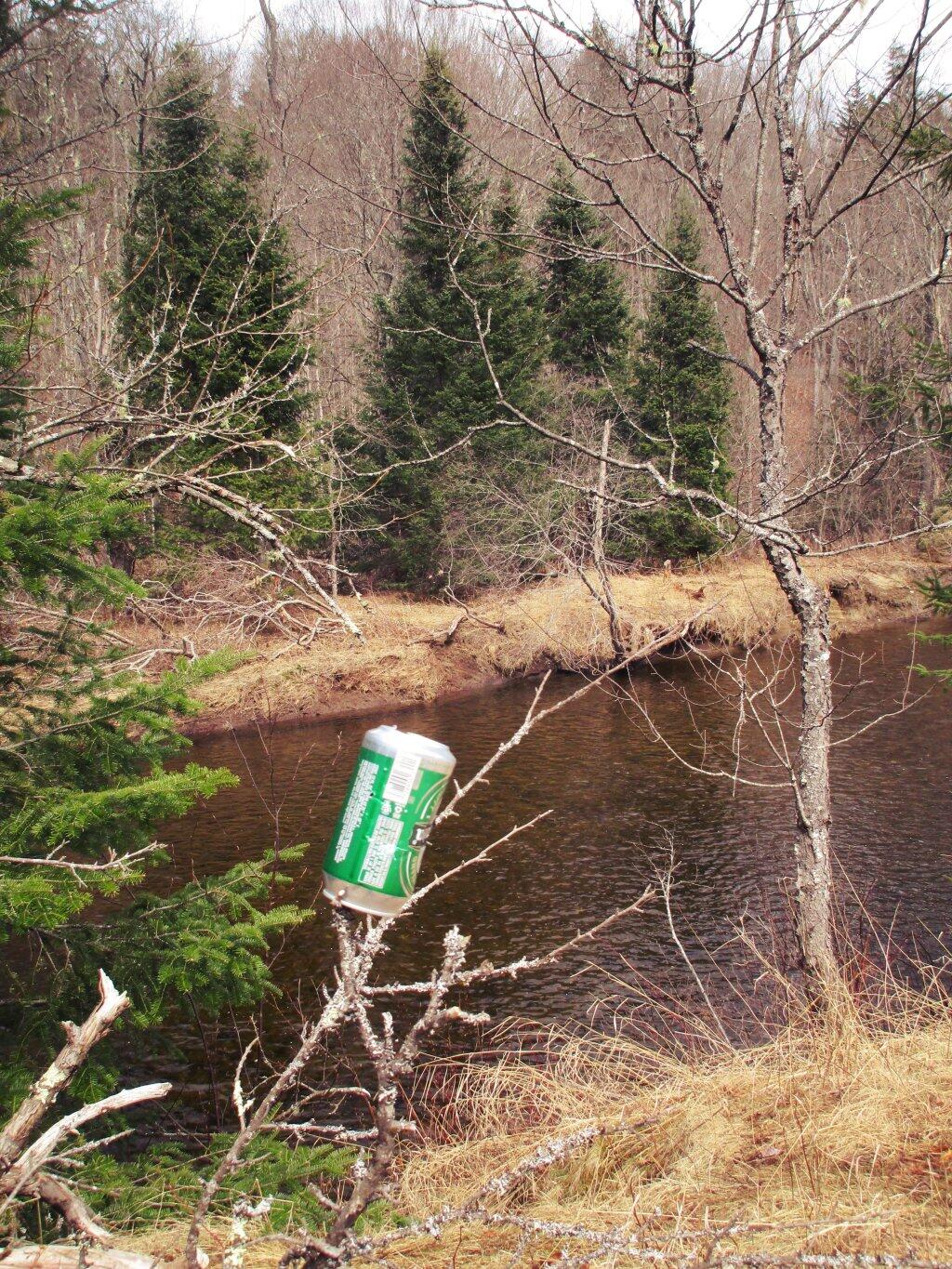 Photo: Beer