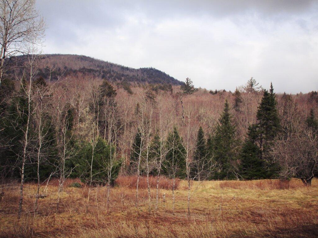 Photo: Black Mountain