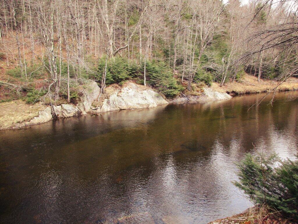 Photo: Swimming Hole