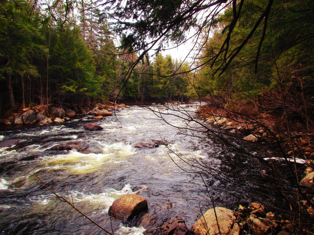 Photo: Almost To The Flats