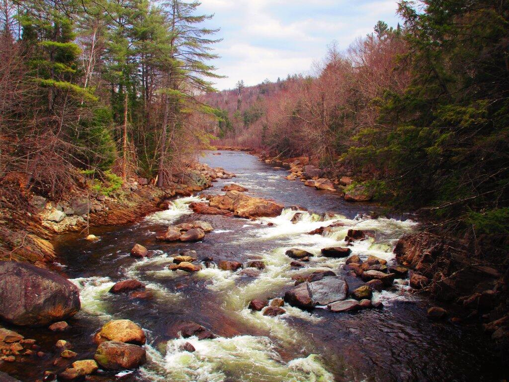 Photo: East Branch Photo: East Branch
