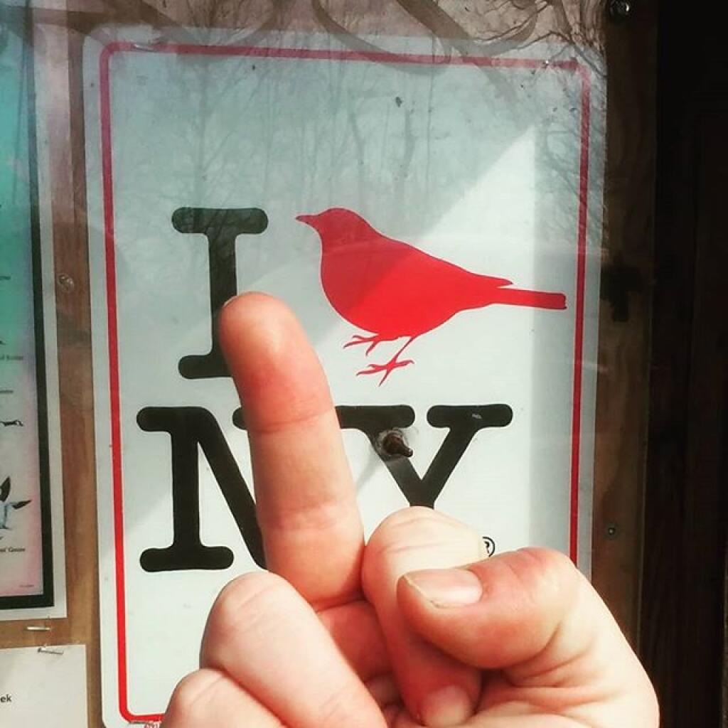 Photo: I Bird New York