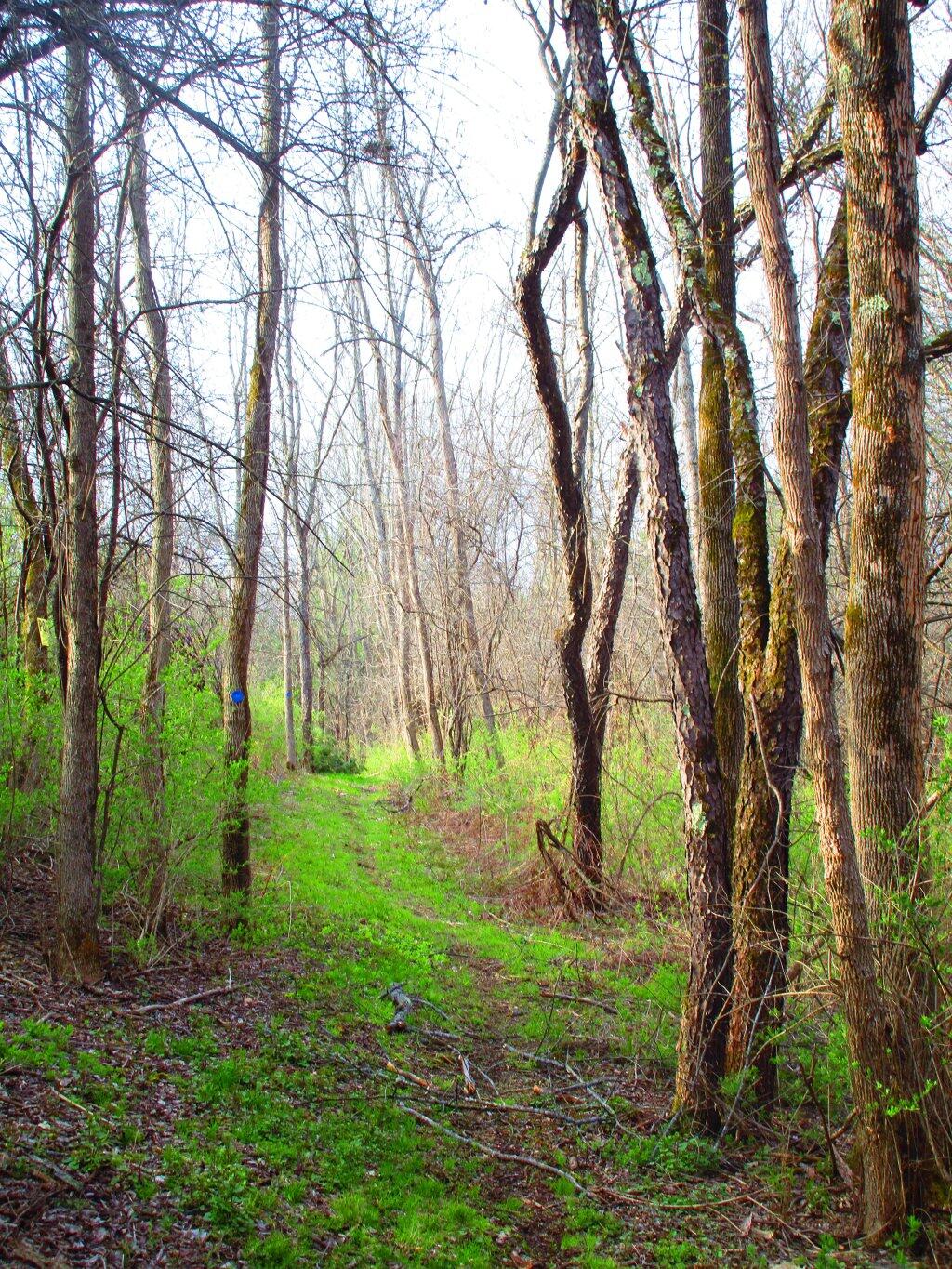 Photo: Blue Trail Photo: Blue Trail
