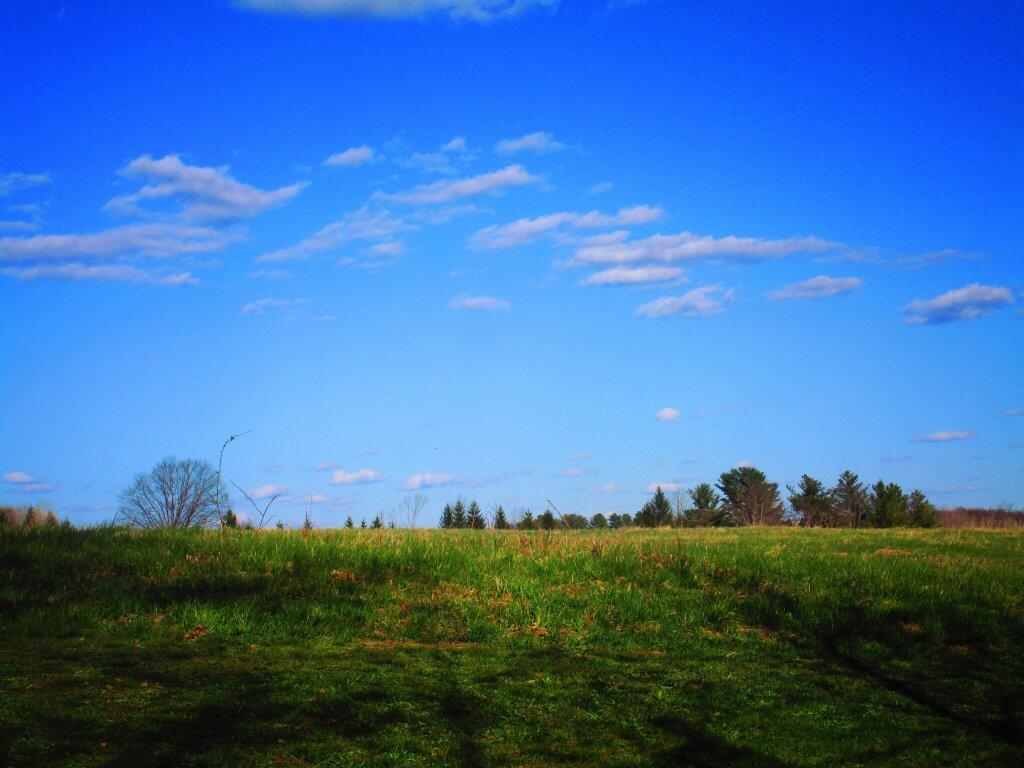 Photo: Beautiful Afternoon