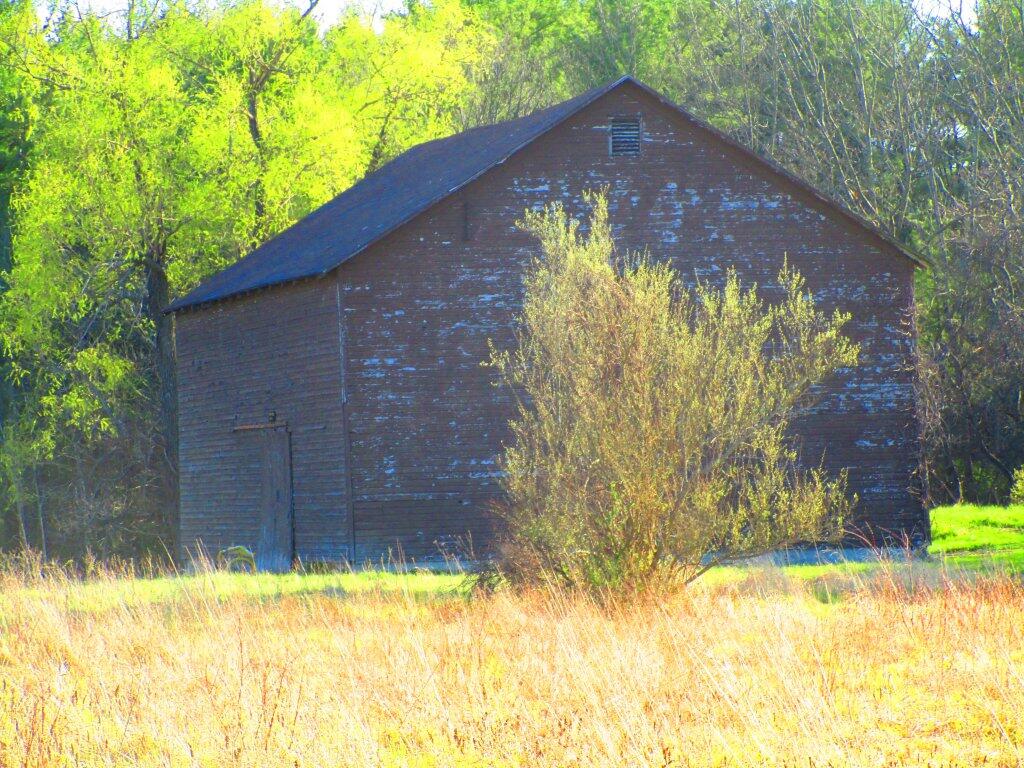 Photo: Spring Day Photo: Spring Day